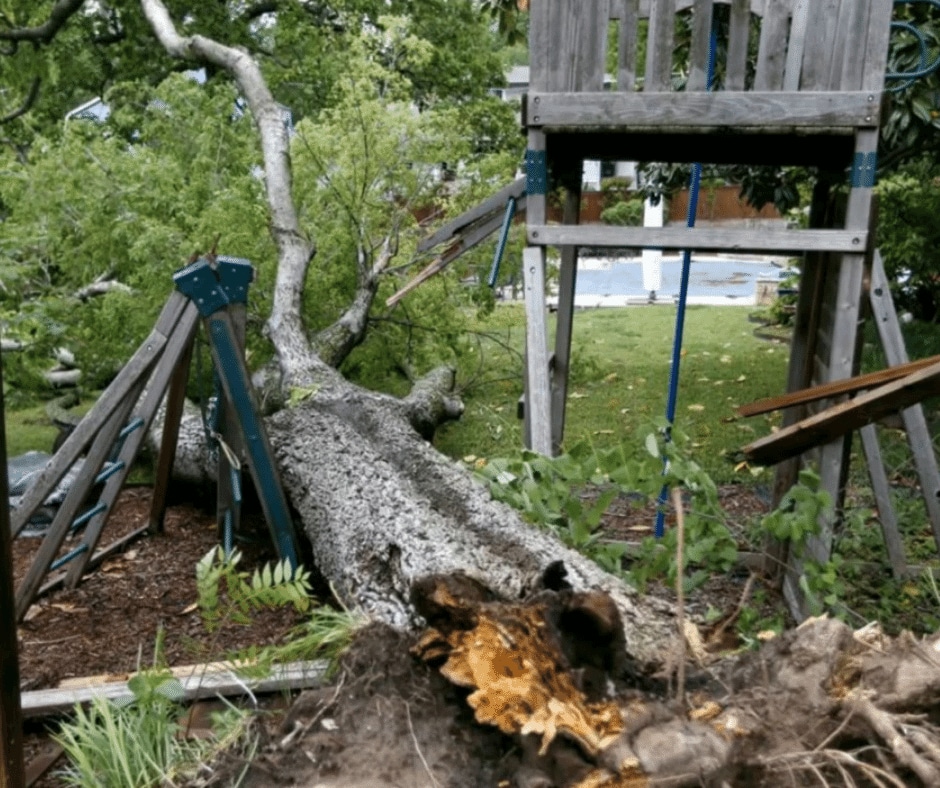 Warner Robins Emergency Tree Service